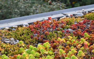 the cost of Kilroot green roof installation