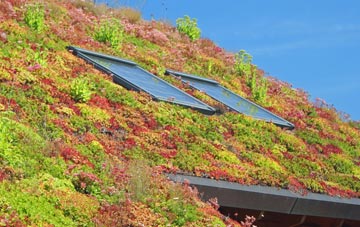 Kilroot living roof systems