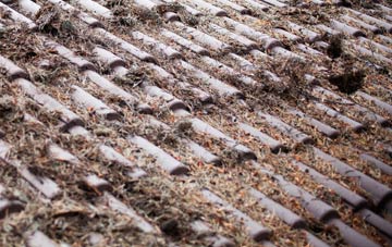 Kilroot roof cleaning companies