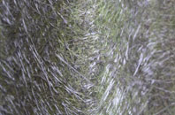 Kilroot fibreglass roof work